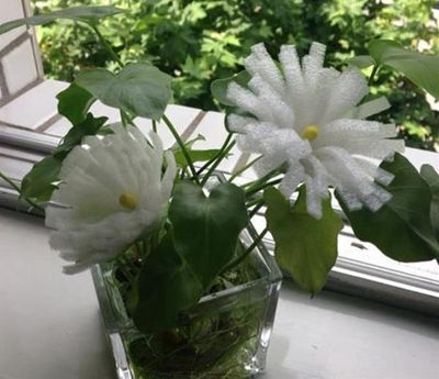 怎么利用包装泡沫纸diy白色菊花