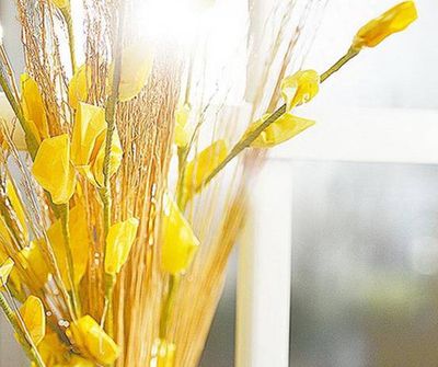 旧雨衣变废为宝做diy塑料鲜花教程
