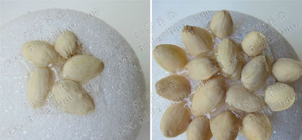 在哪里可以买到泡沫球 怎么利用开心果壳做漂亮的装饰球摆件