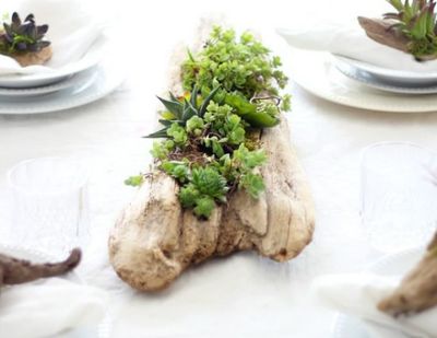 创意枯木多肉花盆DIY手工制作教程
