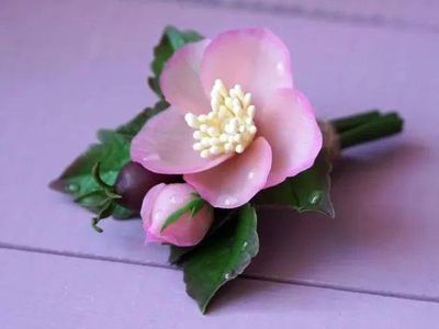 软陶花卉饰品教程,野蔷薇花果胸针DI