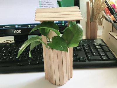 废雪糕棒变身绿萝水培花瓶