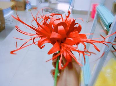 纸艺饰品DIY曼珠沙华花朵