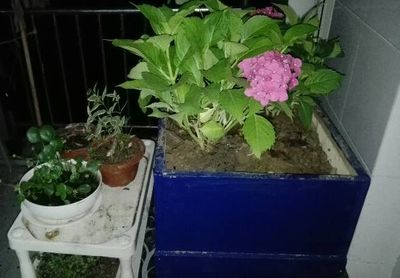 把废弃木制打包箱变成我的DIY花盆