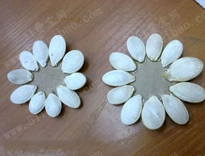 南瓜籽做小朋友手工作品菊花教程