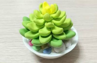 DIY粉嫩哒粘土多肉小植物