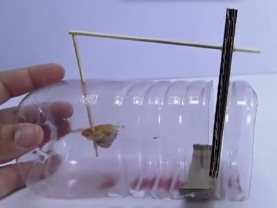 教你不花钱做个DIY饮料瓶老鼠笼