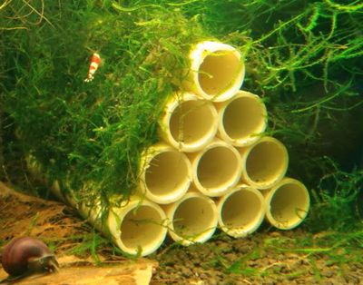 DIY莫斯虾窝|自制虾窝PVC管简易教学
