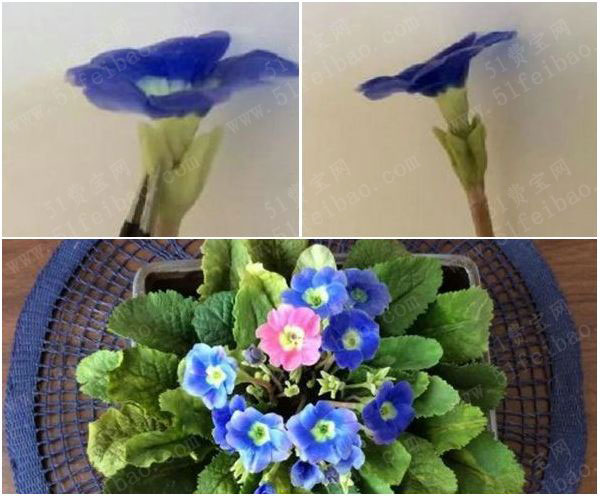 玩粘土教程,diy冷瓷土仿真花卉报春花 - 手工小制作 - 51费宝网