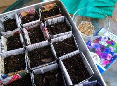如何利用报纸DIY环保育苗盒花盆