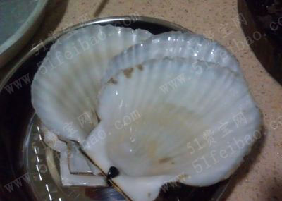 制作扇贝壳工艺品diy扇贝壳手工置物架教程