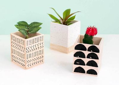 木工作品:DIY改造升级好看森系花盆