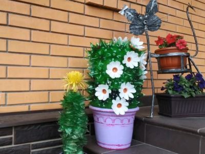 汽水塑料瓶DIY座地盆栽花卉图解