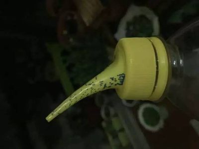 饮料瓶自制多肉滴灌浇水神器
