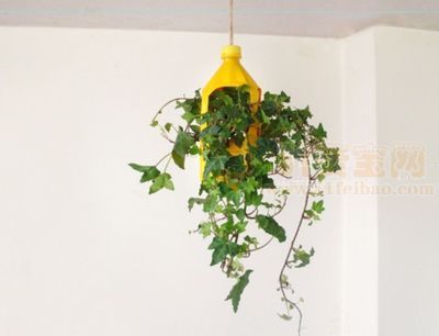 废油桶制作简易悬挂吊兰盆栽花盆