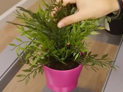 DIY花盆里面怎么藏东西教学