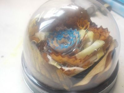 透明盒子里的铅笔刨花摆设