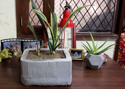 快递纸盒怎麼拿来做一个水泥花盆模具