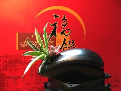 玩手工开脑洞做可爱哒鼠鼠盆栽