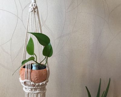 简单的DIY棉线编织花盆吊篮