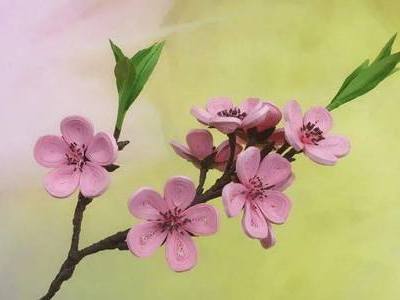 仿真花春节装饰,diy大展鸿图衍纸桃花枝 手工小制作 51费宝网