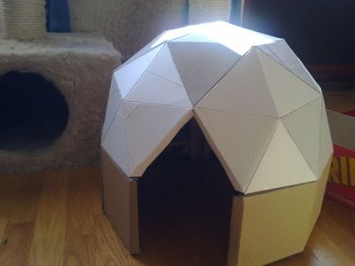 利用纸板箱制作室内狗舍