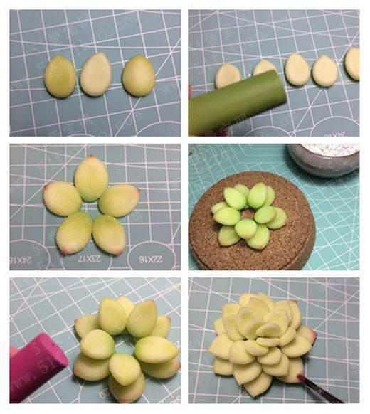 4,漂亮的粘土多肉植物制作完成,可以为它配一个底座或花盆.