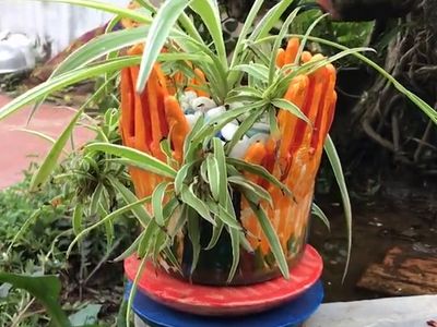 怎么借助废手套做合掌水泥花盆