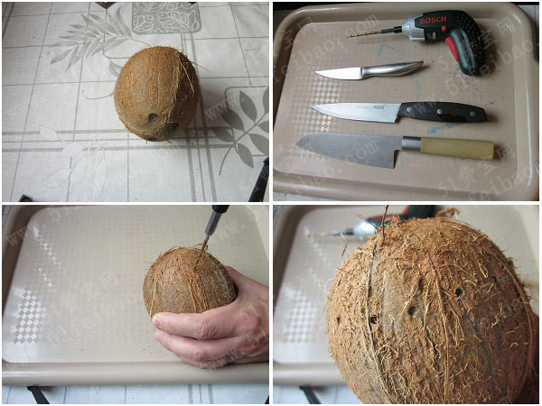 一招教你轻易制作椰子壳花盆