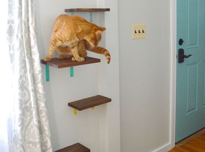 怎么在家里布置diy猫爬架自制设计教程