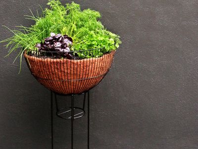 DIY椰棕花盆制作教学