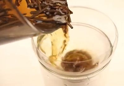 如何利用废品瓶巧作茶渣过滤器