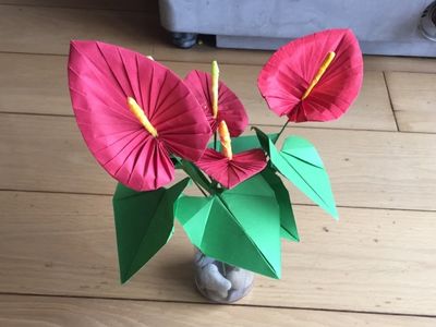 好看的迎春花卉，DIY折纸红掌花盆栽步骤图解