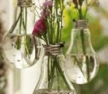 利用旧灯泡制作绿色透亮的吊式水养花瓶