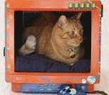 废旧CRT显示器的DIY改造，手把手教你怎么为猫咪做一个温馨小窝
