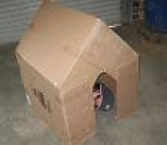 最简单的DIY狗窝：只要一个废纸箱DIY制作狗狗小屋