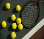 关于旧网球你所不知道的四个废物利用小妙招