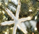 用树枝DIY简单实用的圣诞节雪花挂饰