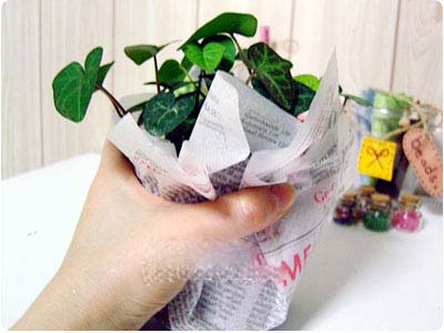 利用旧报纸包出简单又环保的盆栽礼物