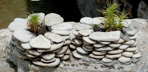 用石子和贝壳DIY石器时代花盆