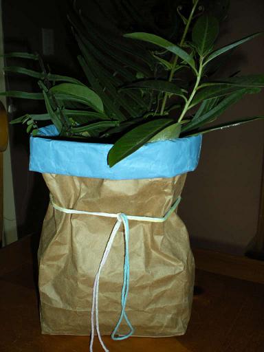 变废为宝小制作，旧纸袋轻松DIY环保纸花盆