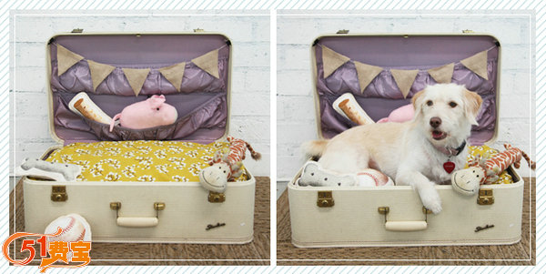 如何利用旧旅行箱改造舒适狗狗床