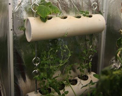 用PVC水管构建家庭空中花园系统
