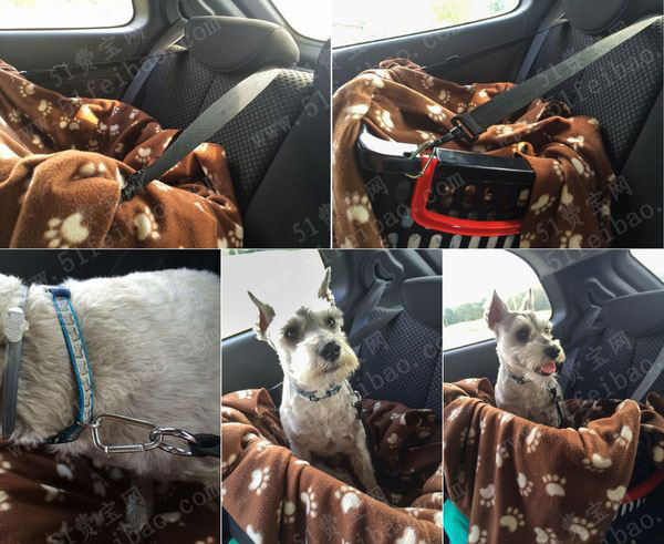 旧物改造给小狗做一个安全舒适的汽车座位