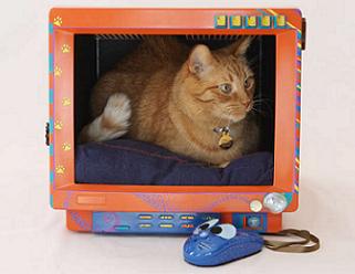 废旧CRT显示器的DIY改造，为猫咪做一个的温馨小窝