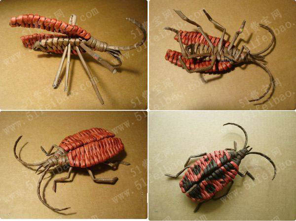 手工折纸做纸棍编织甲虫标本