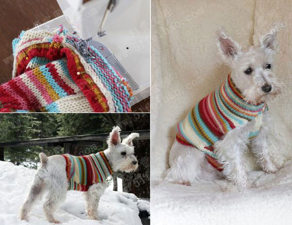 将旧毛衣改造并变成狗狗diy服装