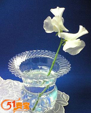 变废为宝：用回收塑料瓶DIY编制美丽花瓶