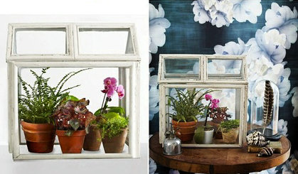 老相框改造的家庭植物小温室