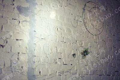 如何利用碎瓷砖DIY装饰墙壁画教程